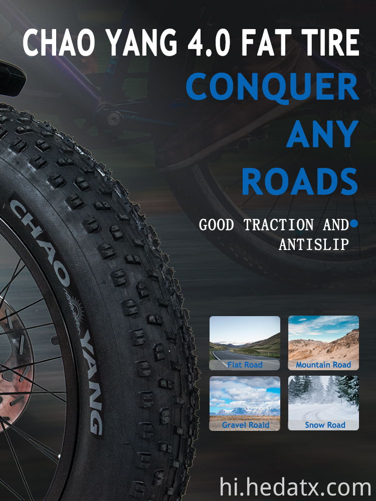 Convenient Fat Tire Electric Bike
